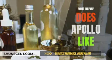 Incense Offerings for Apollo: Scents and Aromas
