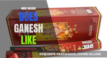 Incense Offerings for Ganesh: Scents to Please the God