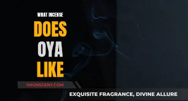 Oya's Favorite Incense Scents and Their Meanings