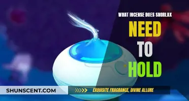 Incense Options for Snorlax: What to Know