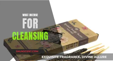 Best Incense Scents for Cleansing and Purification