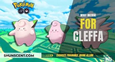 Cleffa and Incense: The Perfect Aromatic Pair