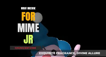 Best Incense for Mime Jr. Catchers