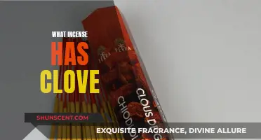 Clove Incense: Spicy, Sweet, and Sensual Aromas
