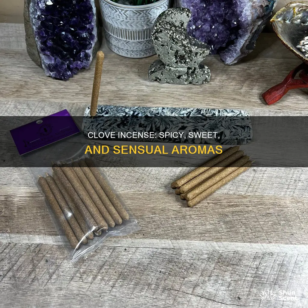 what incense has clove