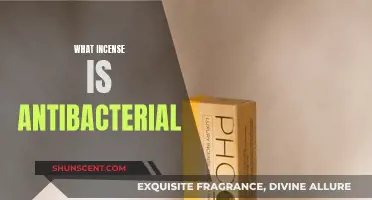 Incense: Natural Antibacterial Powerhouses