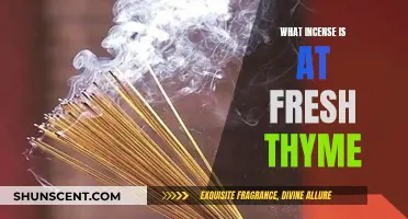 Fresh Thyme's Incense Offerings: Discover the Aromatic Options