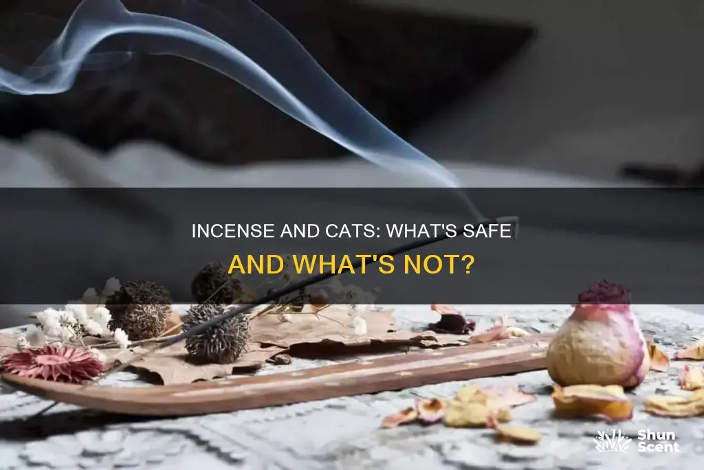 what incense is bad for cats