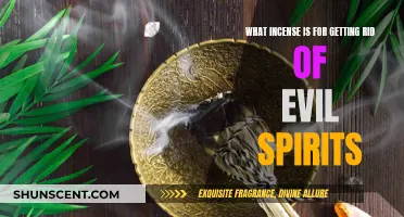 Incense for Exorcism: Scents to Banish Evil Spirits