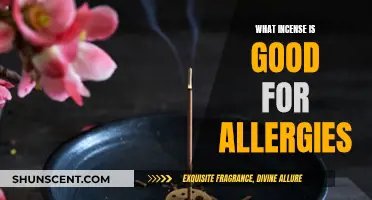 Incense for Allergies: Natural Scents for Relief