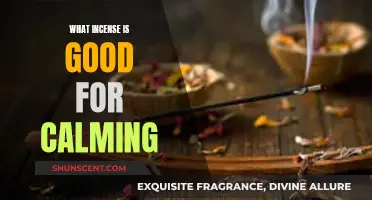 Best Calming Incense Scents for Relaxation and Peace