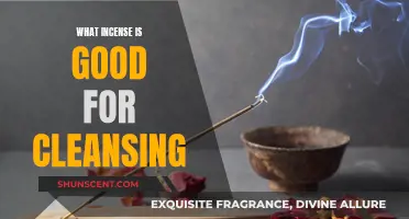 Best Incense for Cleansing Your Space and Mind