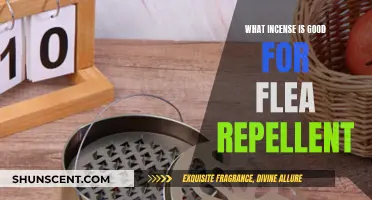 Incense Flea Repellents: Best Scents to Keep Fleas Away