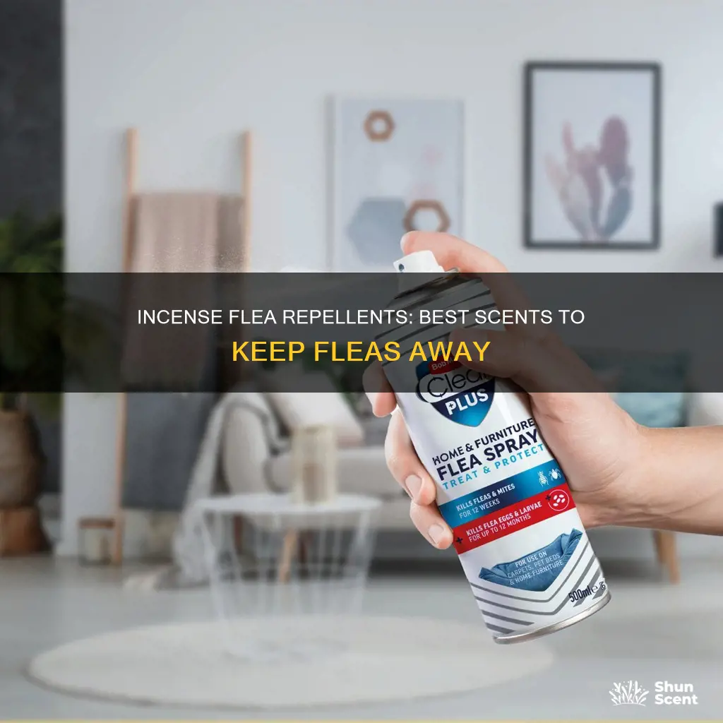 what incense is good for flea repellent