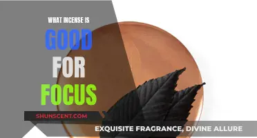 Best Incense Scents to Boost Your Focus
