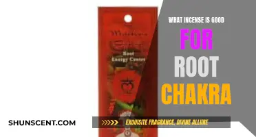 Best Incense Scents to Balance Your Root Chakra