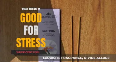 Best Incense Scents to Calm Your Mind