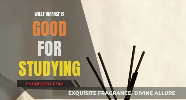 Best Incense Scents to Boost Your Study Sessions