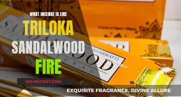 Incense and Triloka: A Warm, Woody Aroma
