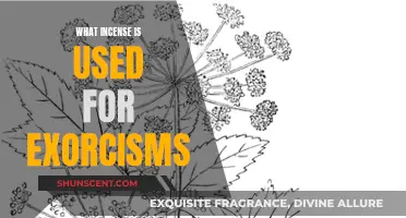 Exorcism Incense: The Scents That Drive Out Evil