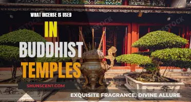 Incense in Buddhism: Scents of Spirituality and Meditation