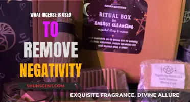 Incense Scents to Banish Negative Energy