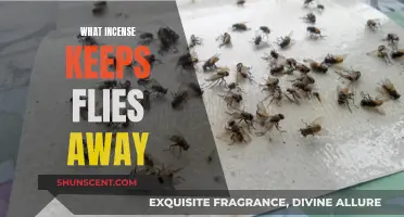 Incense to Repel Flies: Scents that Work