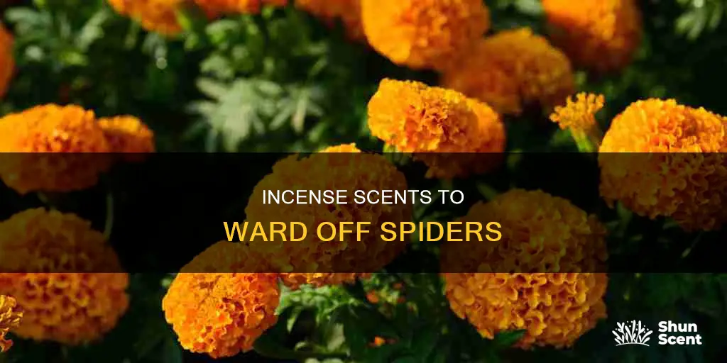 what incense keeps spiders away