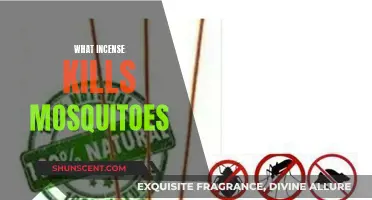 Incense that Repels Mosquitoes: Natural Pest Control