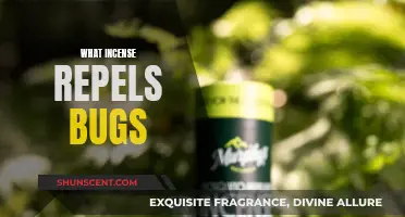 Incense to Keep Bugs Away: Best Scents