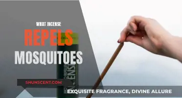 Incense Options to Repel Mosquitoes and Freshen Your Home