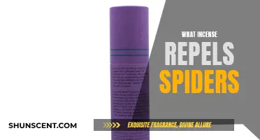 Incense to Keep Spiders Away: Natural Repellents