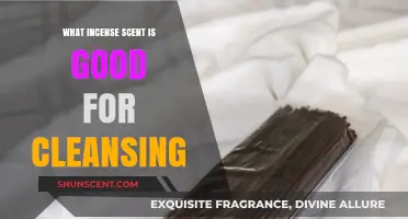 Purify Your Space: The Best Incense Scents for Cleansing
