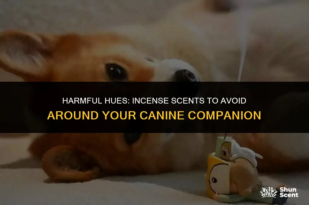what incense scents are bad for dogs
