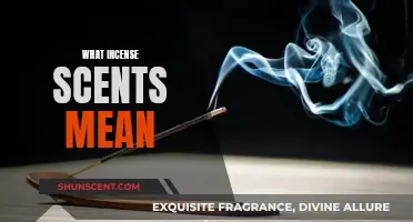 Incense Scents: What They Mean and How to Use Them