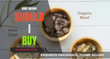 Best Incense to Buy: A Guide