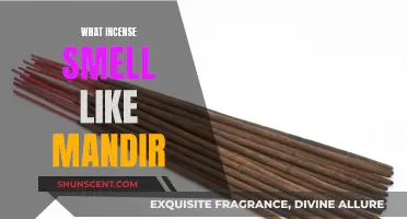 Incense Scents for a Temple-Like Fragrance at Home