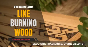 Incense Scents: Burning Wood Aromas for Your Space