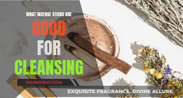 Best Incense Sticks for Cleansing Your Space
