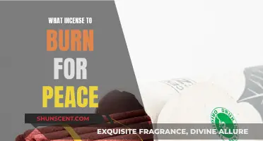 Finding Peace: Incense Scents for a Calm Mind