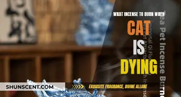 Calming Incense Scents to Comfort Your Dying Cat