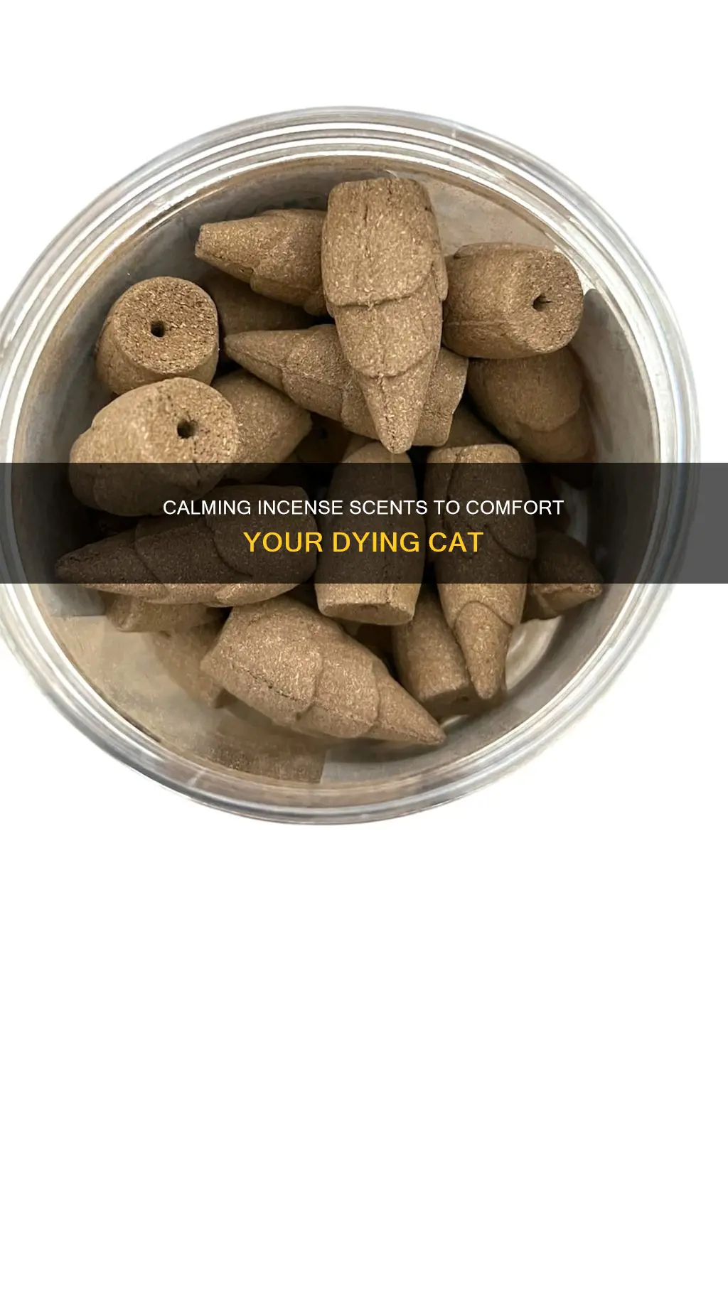 what incense to burn when cat is dying