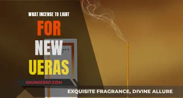 Incense for New Chapters: Setting Intentions with Scents