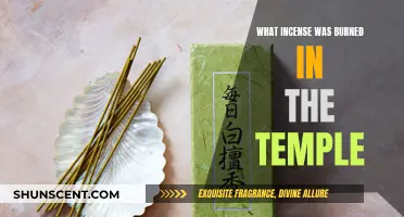 Incense in Ancient Temples: Exploring Sacred Scents