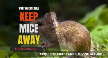 Incense Scents to Ward Off Mice