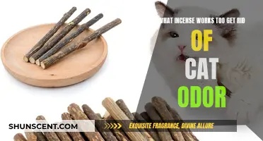Incense Scents to Banish Cat Odors