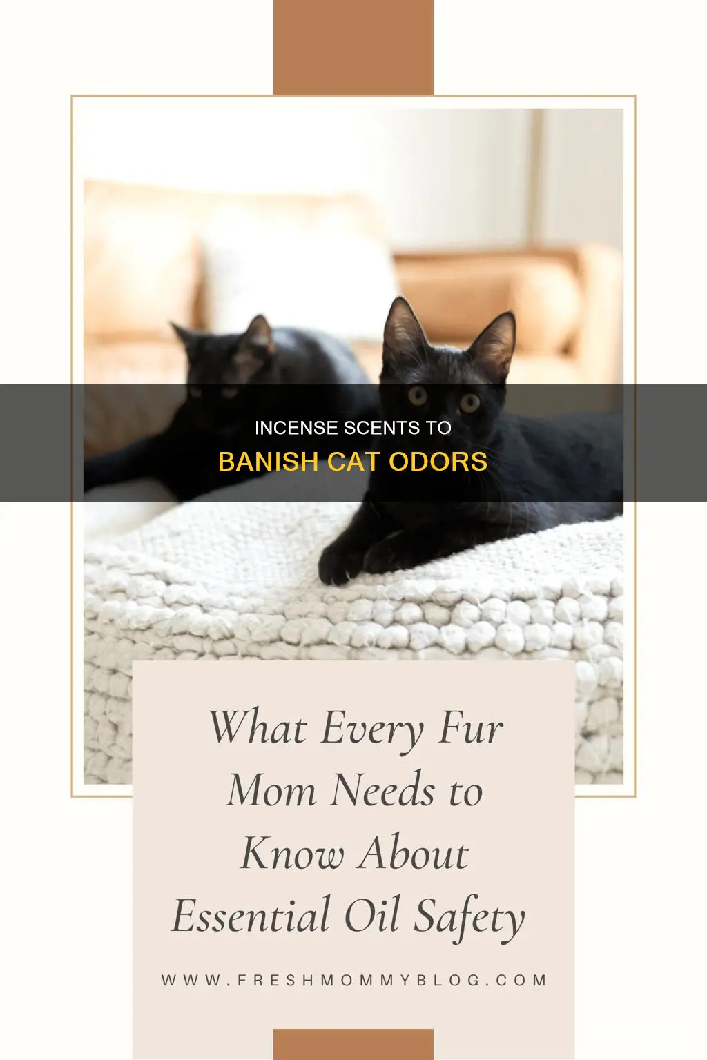 what incense works too get rid of cat odor