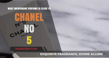 Affordable Chanel No. 5 Dupes: Budget-Friendly Scents to Try