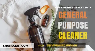 Fragrant Fusion: Essential Oils That Elevate Your Homemade Cleaner