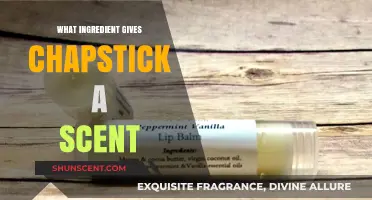 Unveiling the Secret Ingredient: What Gives Chapstick Its Irresistible Scent?